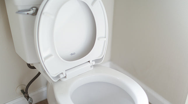 How To Replace A Toilet Seat