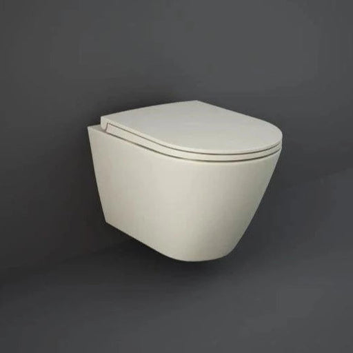 RAK Feeling Soft Close Toilet Seat - Matt Geige - Unbeatable Bathrooms