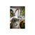 Abode Sway Single Lever Mixer Tap - St/Steel - Unbeatable Bathrooms