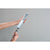 Hansgrohe Pulsify E Baton Hand Shower 100 1Jet Ecosmart+ - Unbeatable Bathrooms