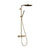 Hansgrohe Pulsify S Puro Showerpipe 260 1Jet with Ecostat Fine - Unbeatable Bathrooms