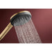 Hansgrohe Raindance Alive Select S Hand Shower 125 3Jet - Unbeatable Bathrooms
