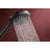 Hansgrohe Raindance Alive Select S Hand Shower 125 3Jet Ecosmart - Unbeatable Bathrooms
