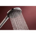 Hansgrohe Raindance Alive Select S Hand Shower 125 3Jet Ecosmart - Unbeatable Bathrooms