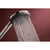 Hansgrohe Raindance Alive Select S Hand Shower 125 3Jet Ecosmart - Unbeatable Bathrooms