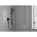 Hansgrohe Vernis Blend Hand Shower 100 Vario Ecosmart - Unbeatable Bathrooms