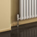 Reina Designer Coneva Horizontal Mild Steel Radiator - Unbeatable Bathrooms