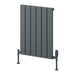 Reina Designer Piatto Horizontal Aluminium Radiator - Unbeatable Bathrooms