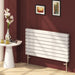 Reina Designer Rione Double Mild Steel Radiator - Unbeatable Bathrooms