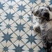 Splendour Fs 450x450 Star Tiles - Unbeatable Bathrooms