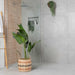 Splendour Loft Concrete 800x800 Effect Tiles - Unbeatable Bathrooms