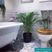 Splendour Lucia 300x100 (R145) Tiles - Unbeatable Bathrooms