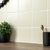 Splendour Monocolour 150x150 Matt Square Tiles - Unbeatable Bathrooms