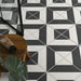 Splendour Zebra 223x223 Black and White Patterned Matt Striped Tiles - Unbeatable Bathrooms