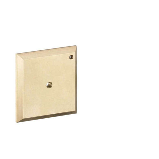 Hansgrohe Flushing Board Icontrol - Unbeatable Bathrooms