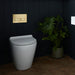 VADO Square Dual Flush Plate - Brushed Bronze - Unbeatable Bathrooms