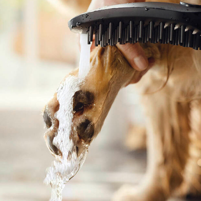 Hansgrohe Dog Shower 150 3-Jet Hand Shower (Various Colours) - Unbeatable Bathrooms