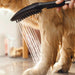 Hansgrohe Dog Shower 150 3-Jet Hand Shower - Matt Black - Unbeatable Bathrooms