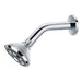 Flova 3-Function Shower with Arm - Unbeatable Bathrooms
