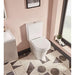 Tavistock Aerial Comfort Height Closed Coupled Toilet (Closed Back) - Unbeatable Bathrooms