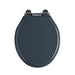 Tavistock Vitoria Wooden Soft Close Toilet Seat - Matt Dark Grey - Unbeatable Bathrooms