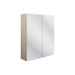 Bliss Carlo 600mm 2 Door Mirrored Wall Unit - Unbeatable Bathrooms