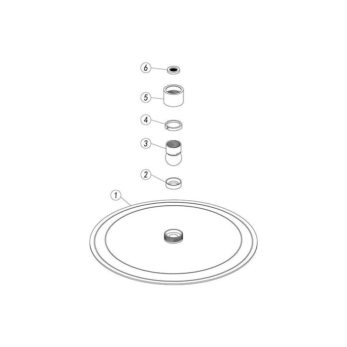 Bliss BLIS106554 250mm Round Showerhead - Brushed Brass - Unbeatable Bathrooms