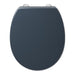 Armitage Shanks Contour 21 Toilet Seat & Cover (Top Fixing Hinges) - Unbeatable Bathrooms