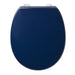 Armitage Shanks Contour 21 Toilet Seat & Cover (Top Fixing Hinges) - Unbeatable Bathrooms
