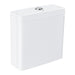 Grohe Essence Exposed Flushing Cistern for Close Coupled Combination 39579000 - Unbeatable Bathrooms