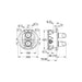 Grohe Veris Thermostat with Integrated 2 Way Diverter for Bath or Shower and More Than One Outlet - Unbeatable Bathrooms
