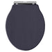Hudson Reed Chancery Soft Close Toilet Seat (Various Colours) - Unbeatable Bathrooms