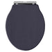 Hudson Reed Chancery Soft Close Toilet Seat - Twilight Blue - Unbeatable Bathrooms