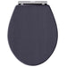 Hudson Reed Richmond Toilet Seat (Various Colours) - Unbeatable Bathrooms