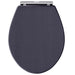 Hudson Reed Richmond Toilet Seat - Twilight Blue - Unbeatable Bathrooms