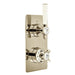 Bliss Axbridge 1 Outlet, 2 Handle Concealed Thermostatic Valve - Unbeatable Bathrooms